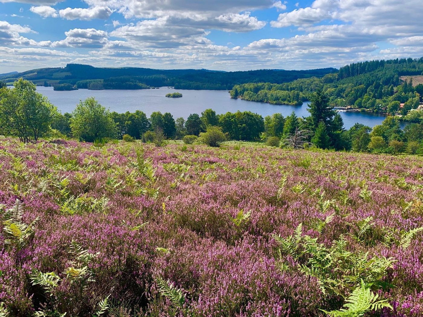 Lac de Vassivière