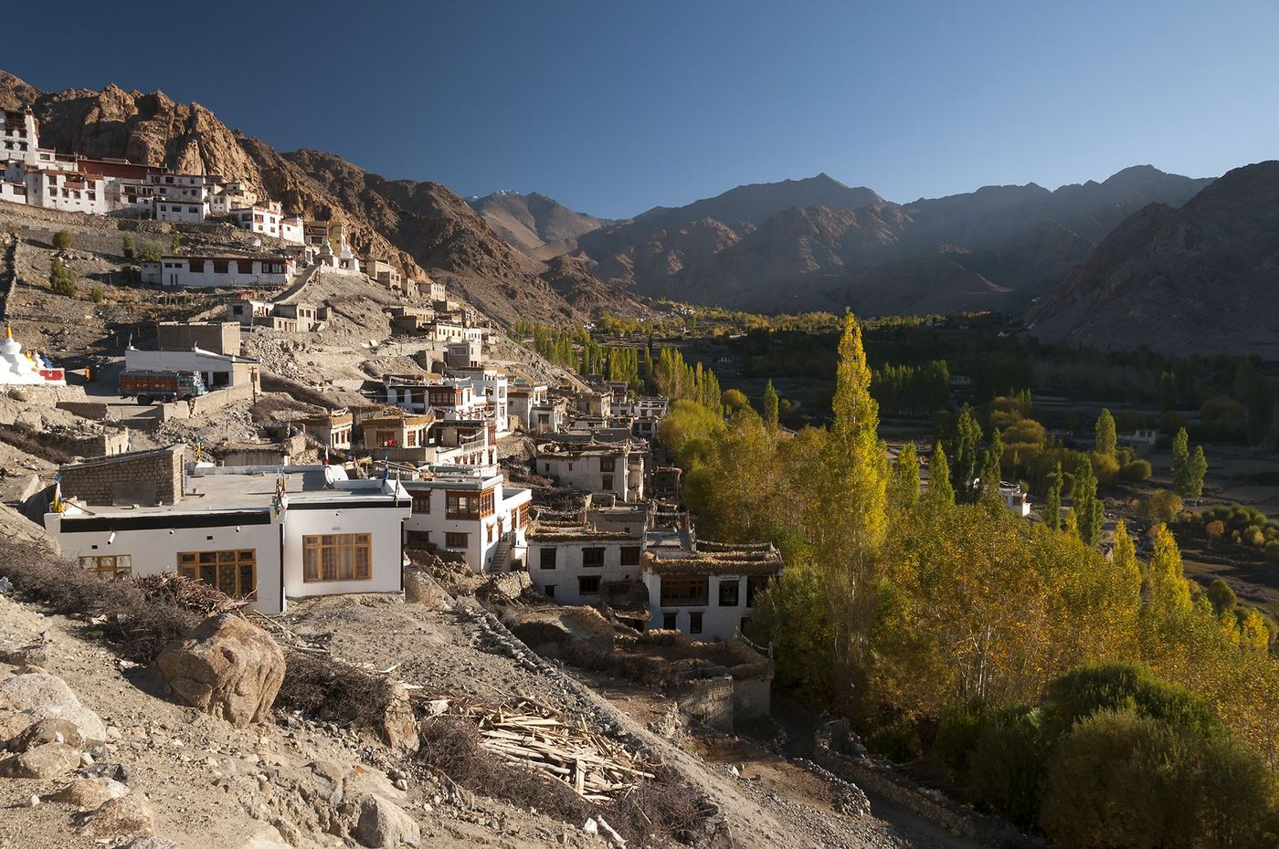 Ladakh Phyang