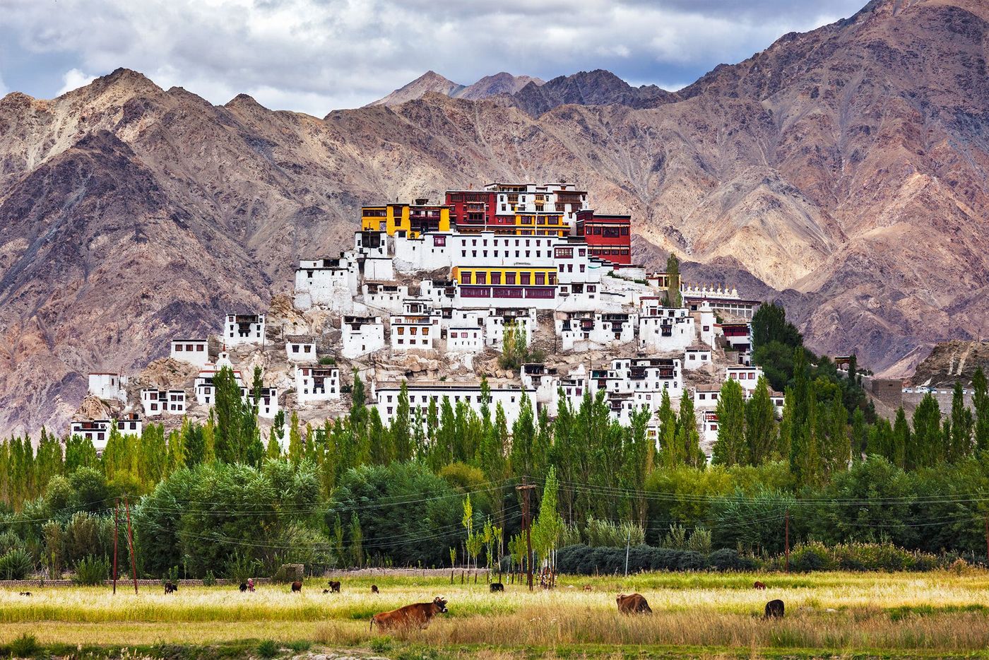 Ladakh Thiksé
