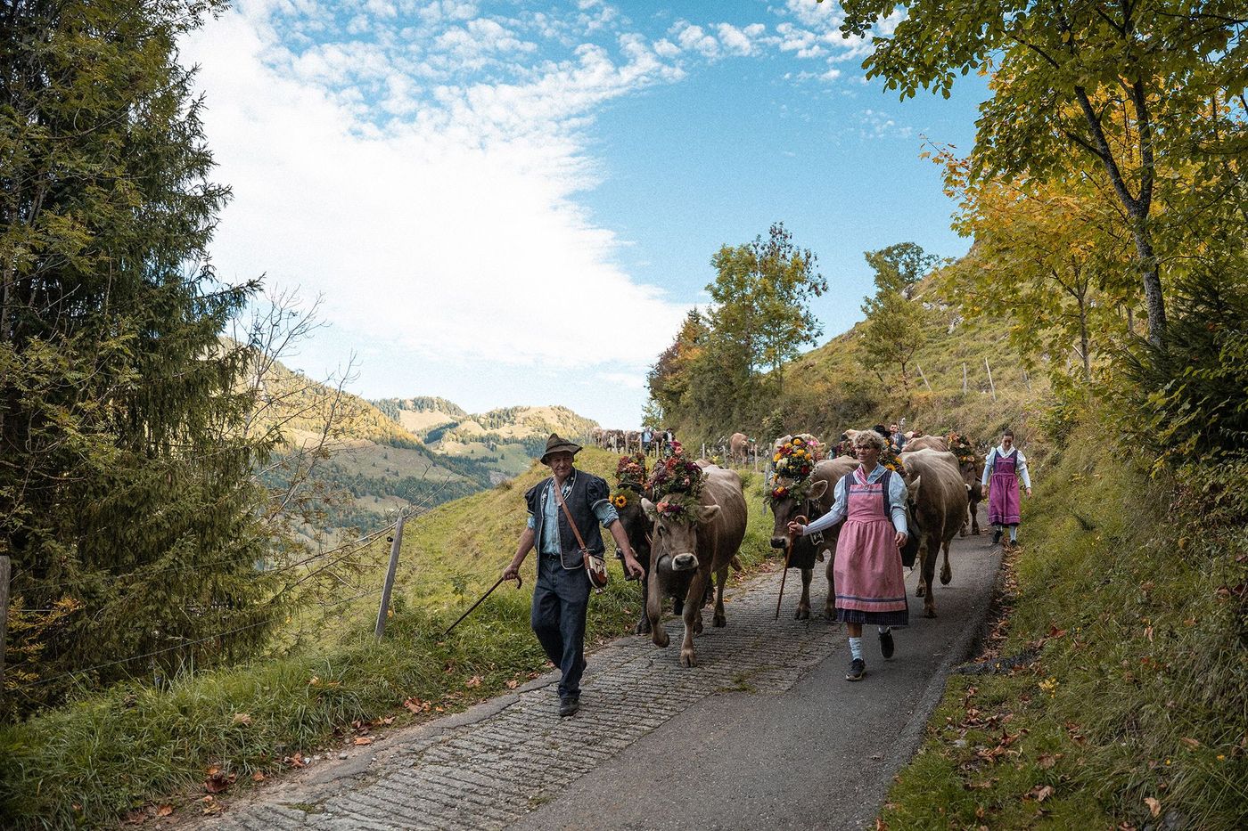 Désalpe d’Albeuve © UFT/FTV