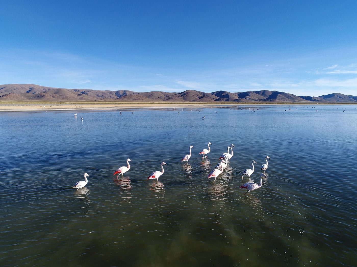 Laguna de los Pozuelos