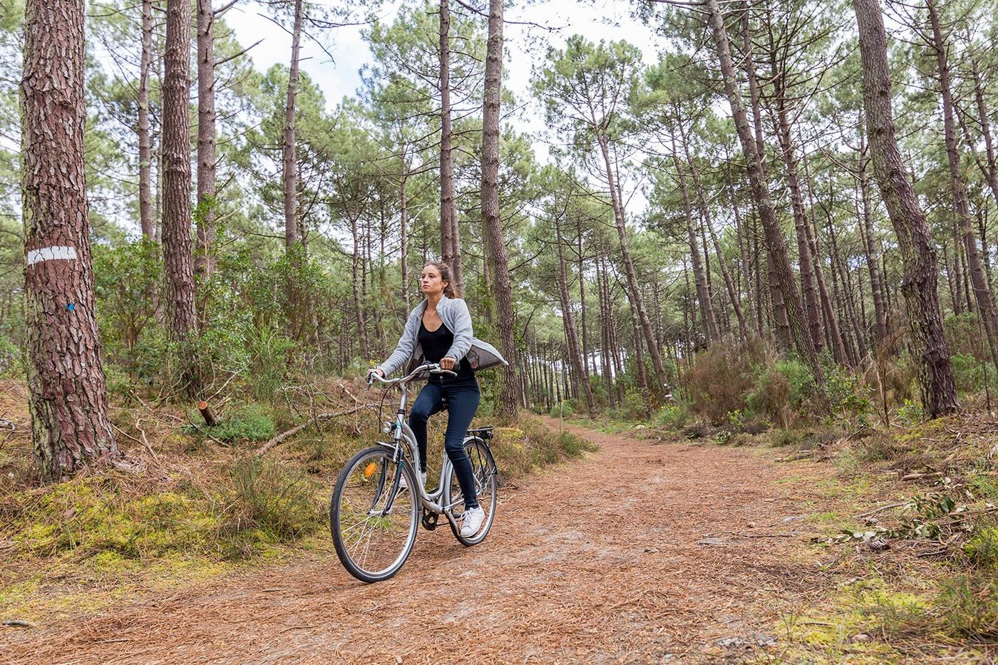 Mimizan Vélo dans la forêt