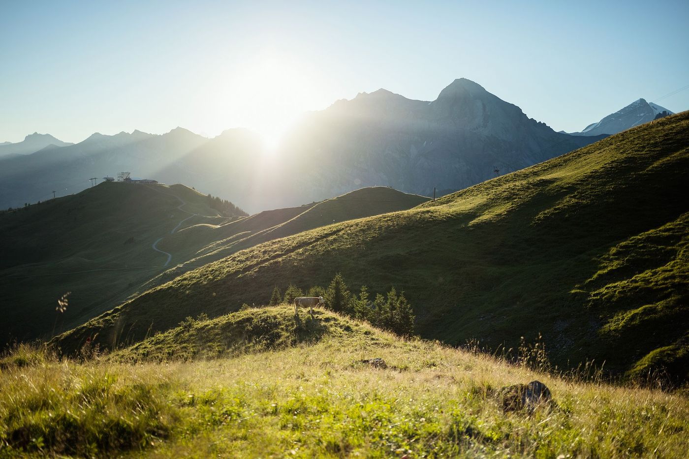 © Tourismus Adelboden-Lenk-Kandersteg