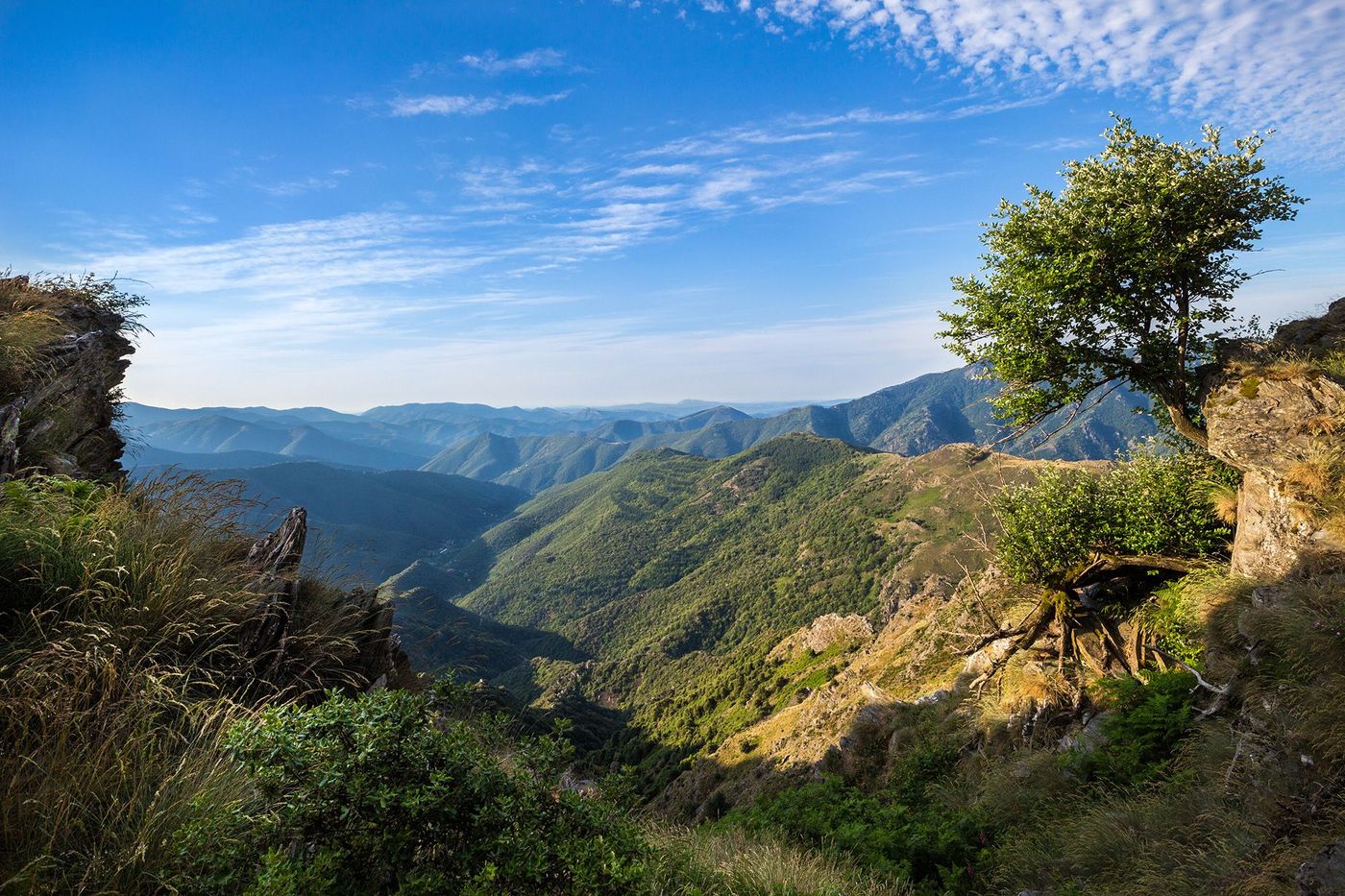 Languedoc Cévennes