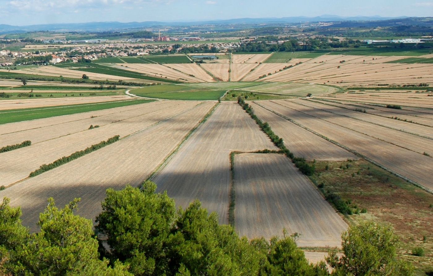 Languedoc Etang asséché de Montady