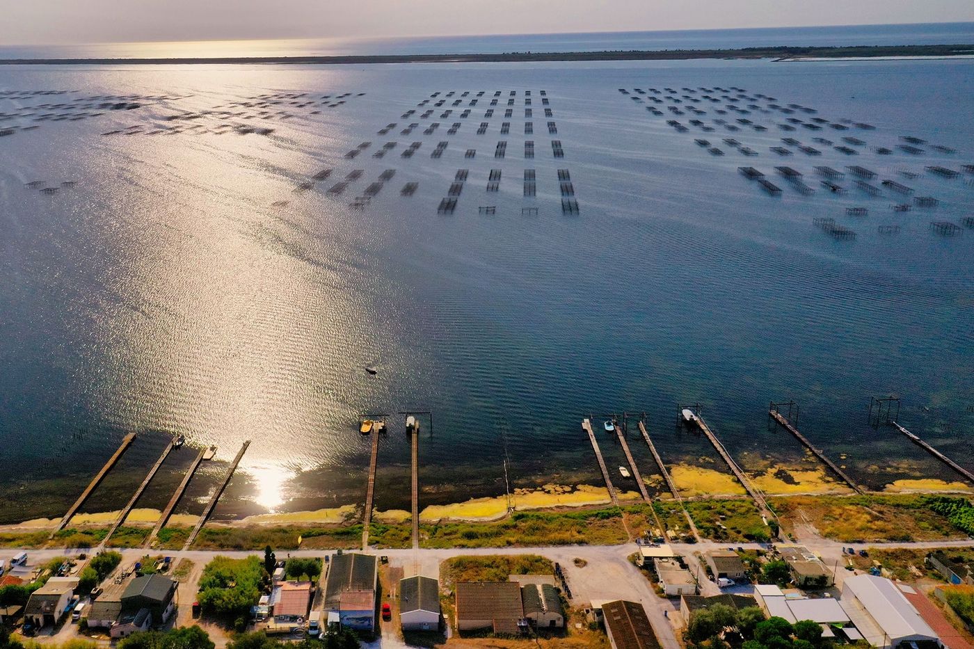 Languedoc Etang de Thau Marseillan
