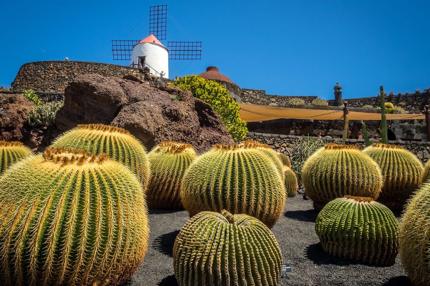 Lanzarote Jardin de Cactus