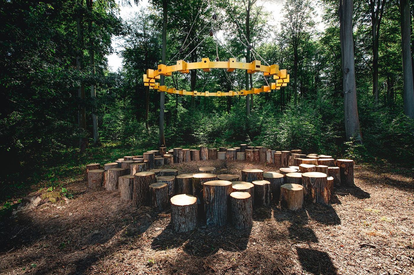 Forêt monumentale Le bal