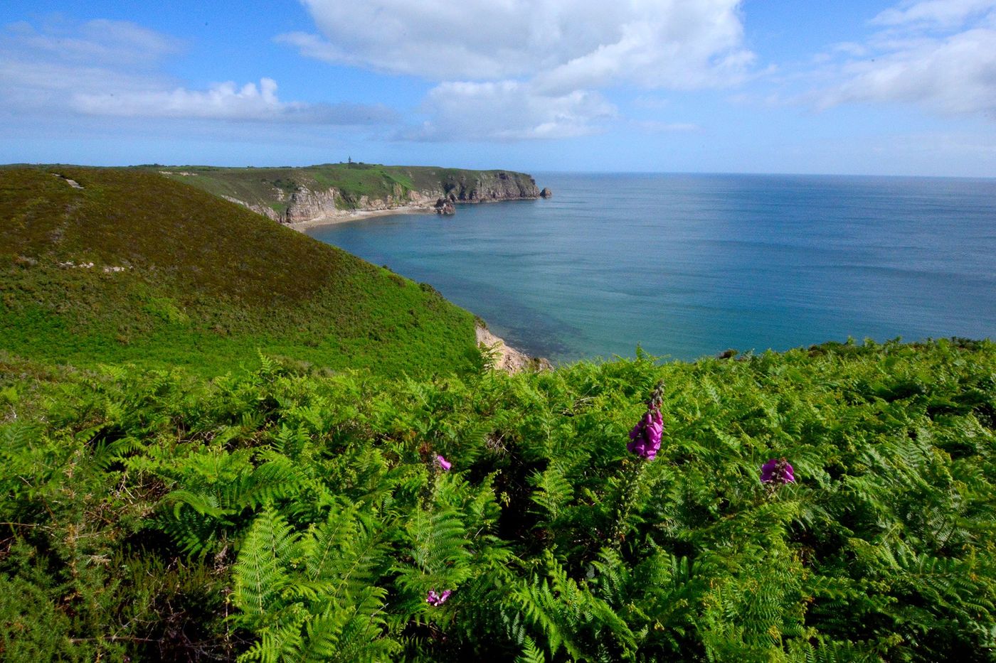 Le cap Fréhel