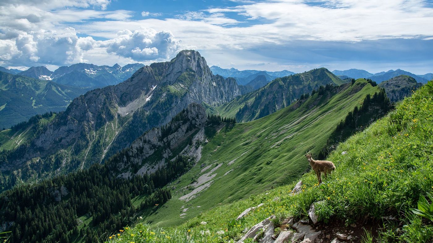 Les Cornettes de Bise dans le Chablais - Alpes