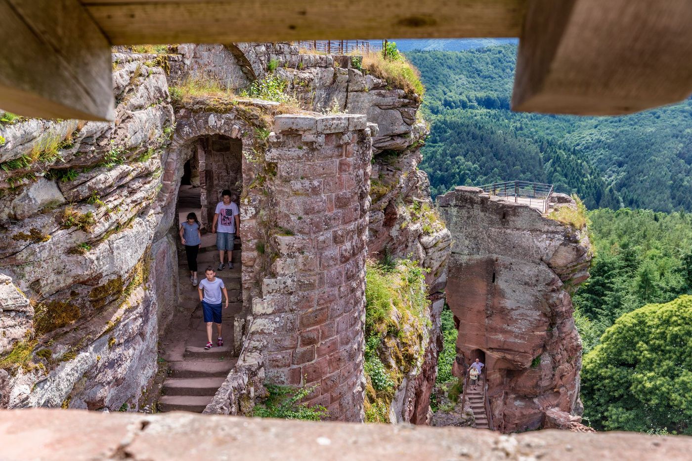 Fleckenstein