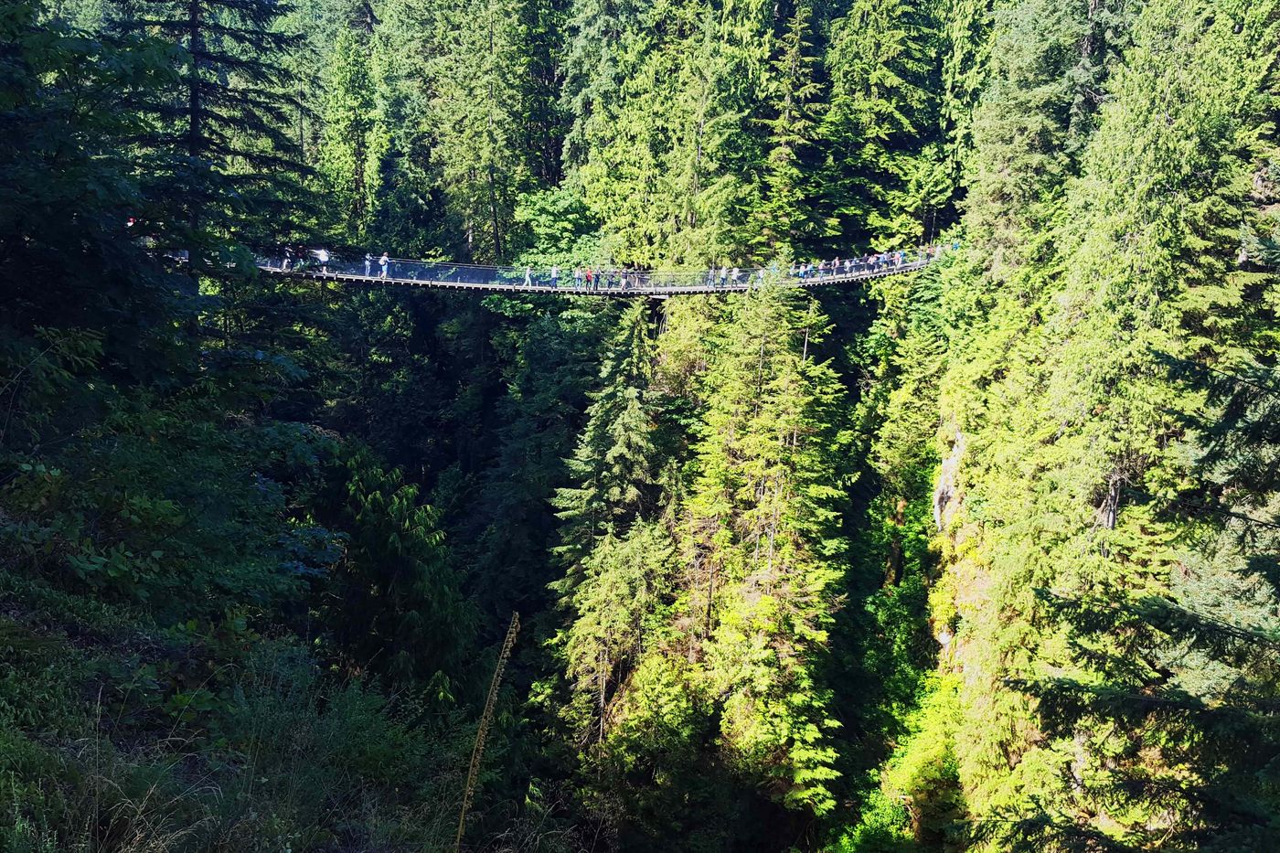 Vancouver Capilano Bridge