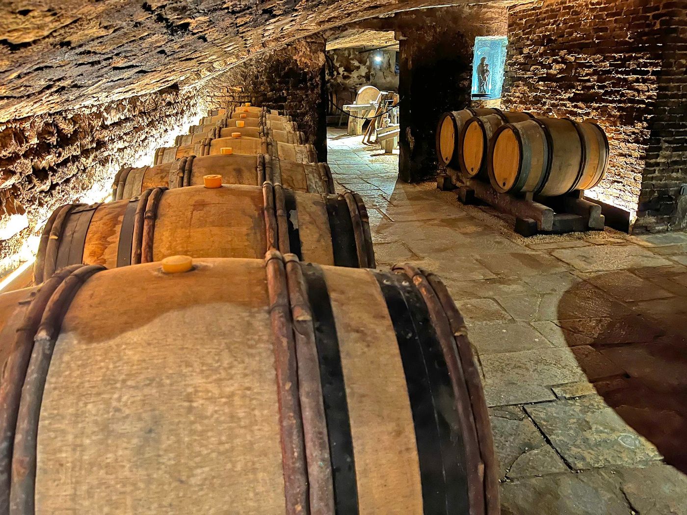 Les caves de la maison Champy