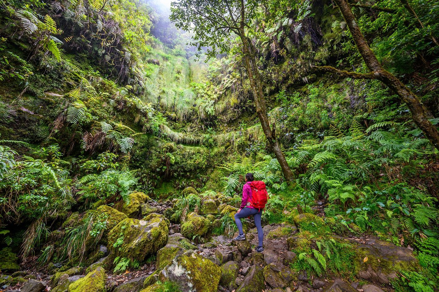 Levada do Caldeirão Verde