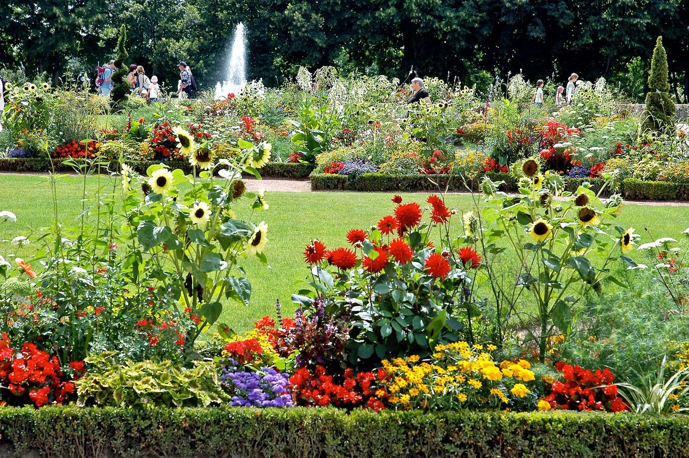 Limoges Fleurs Villes