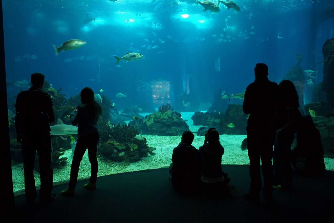 Lisbonne Oceanario