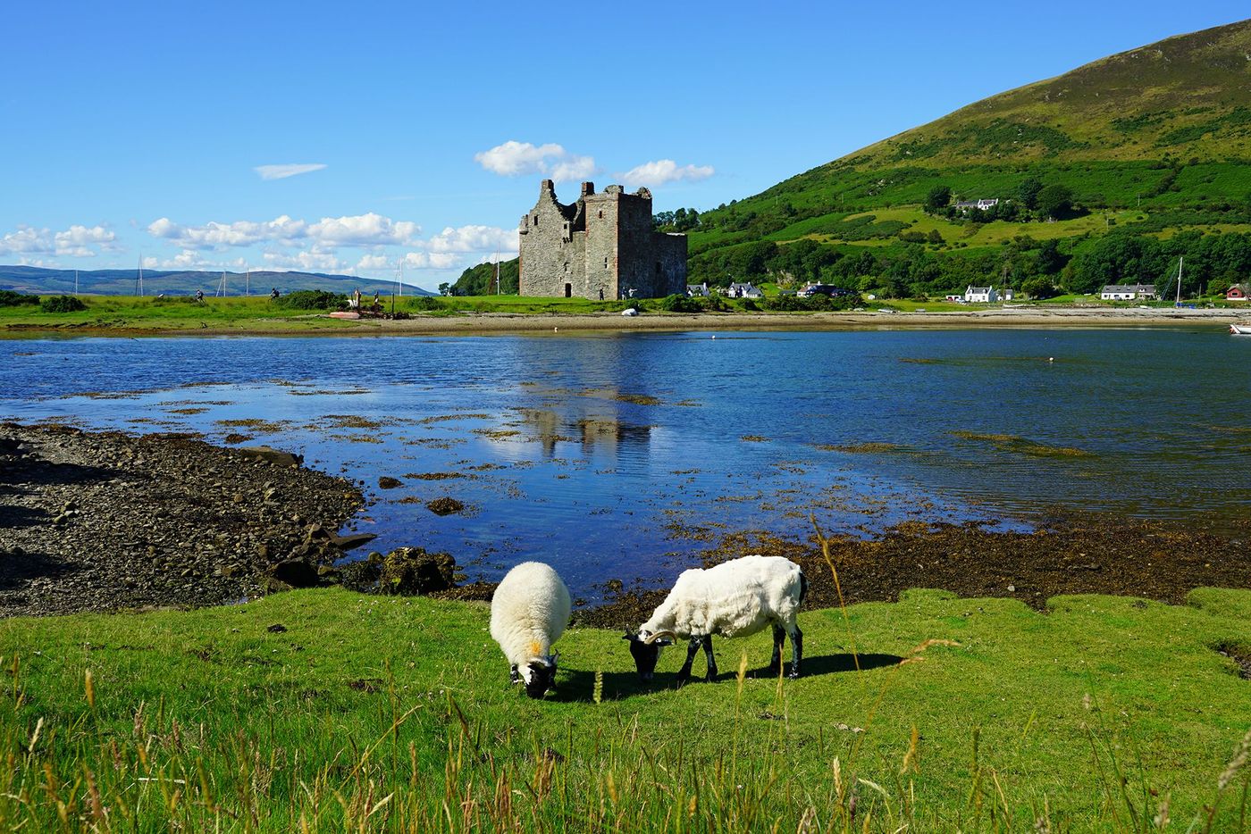Lochranza - château