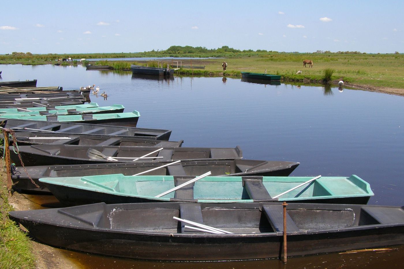 Loire Atlantique Marais de Brière