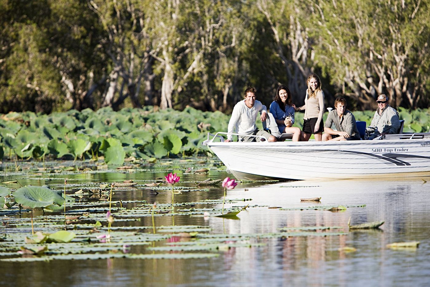 Lotus, parc national de Kakadu, Territoire du Nord