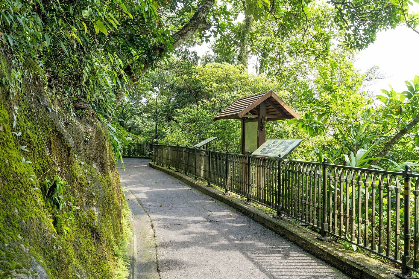 Lugard Road