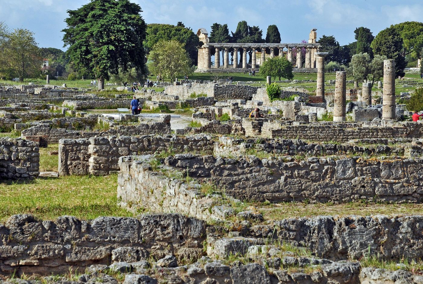 Macellum