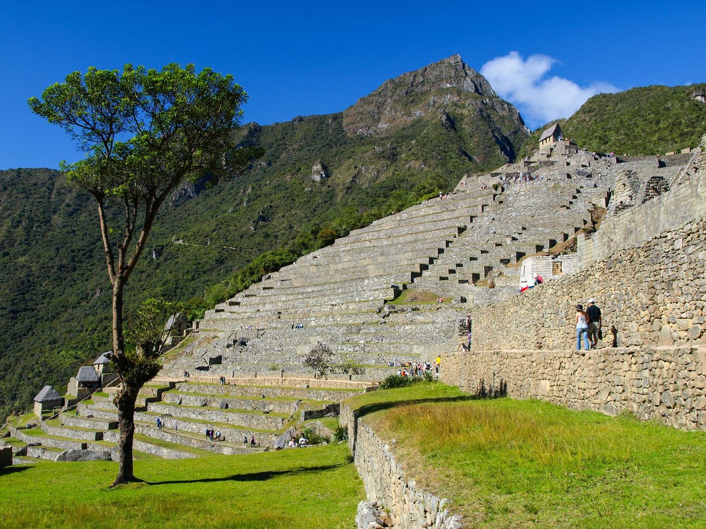 Pérou Machu Picchu