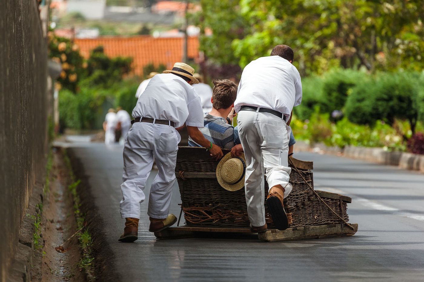 Madère Funchal Luge