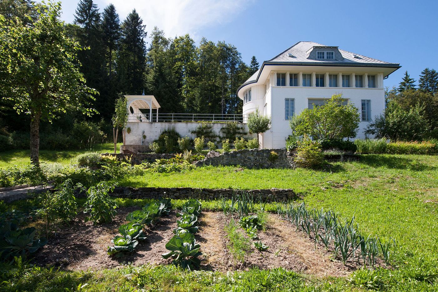 Maison blanche