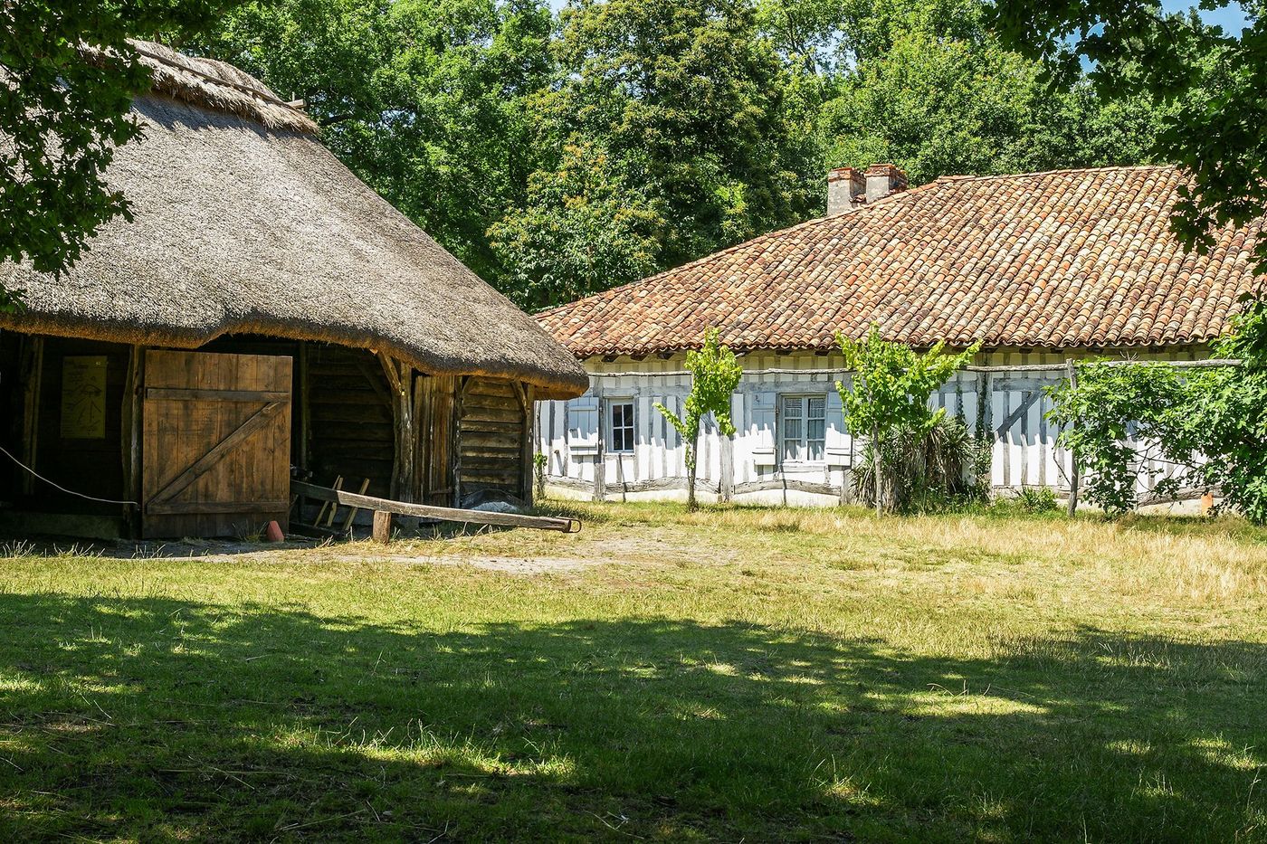 Maison landaise