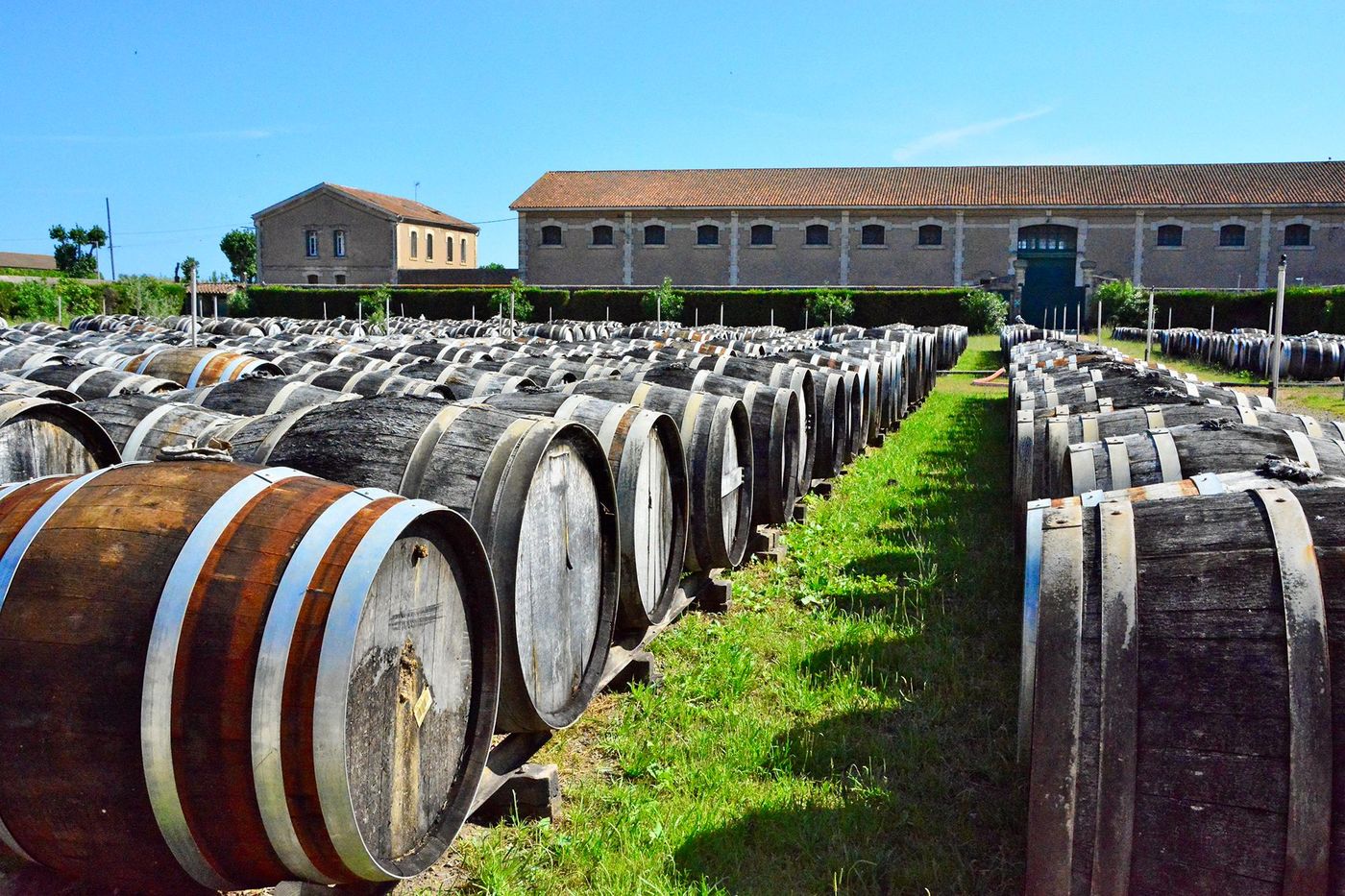 Maison Noilly-Prat - champ de tonneaux de chêne