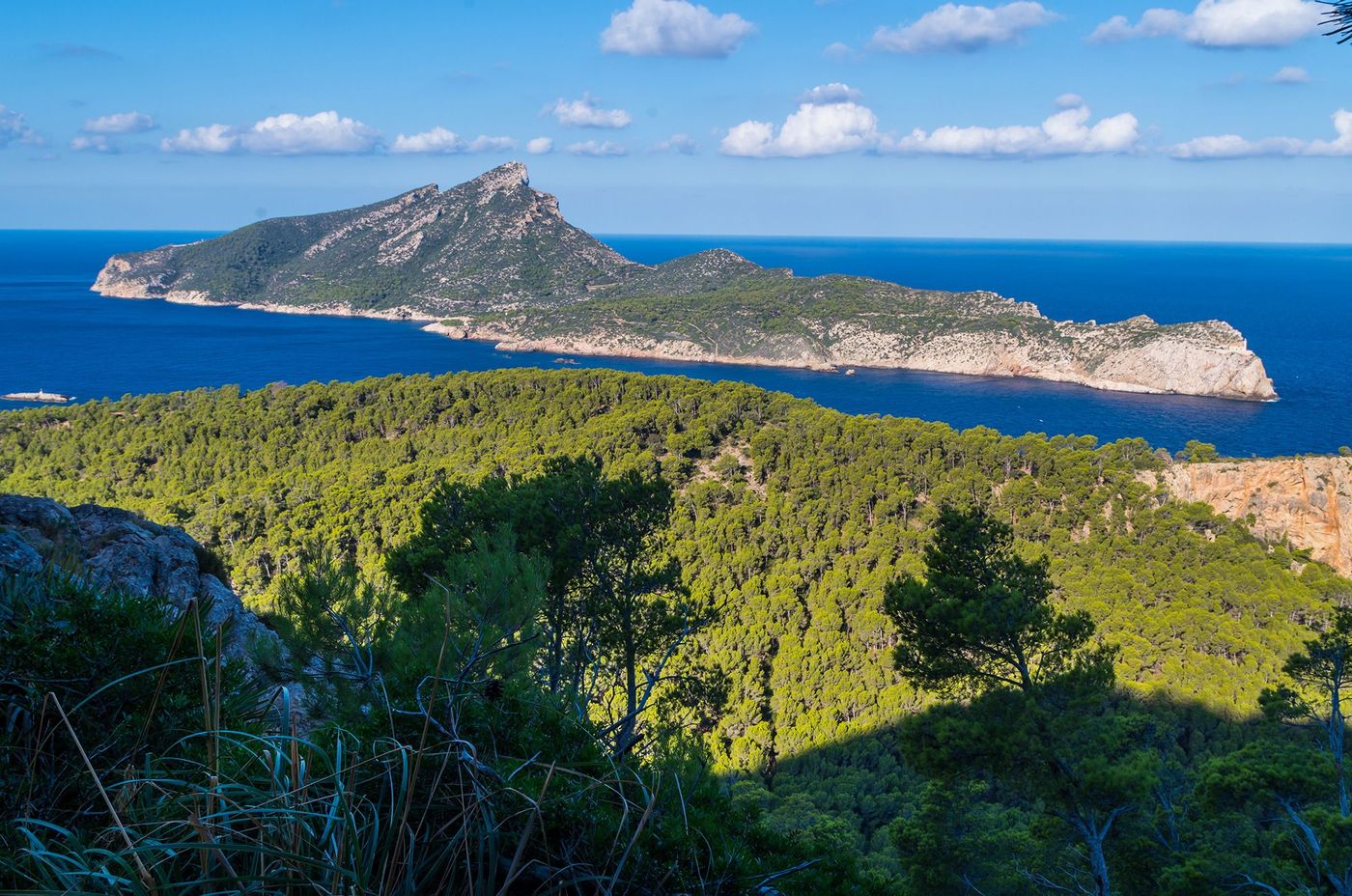 Majorque île de Sa Dragonera