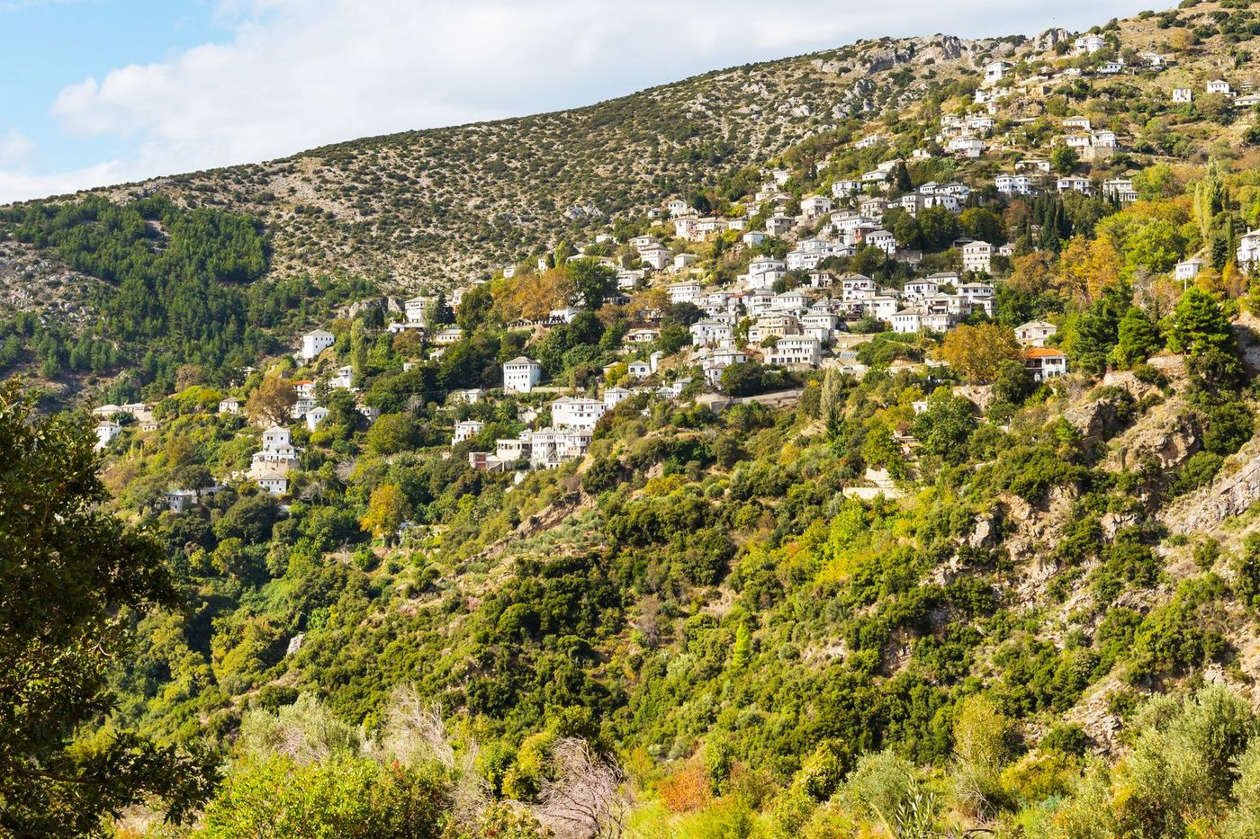 Makrinitsa Grèce Village du Pélion