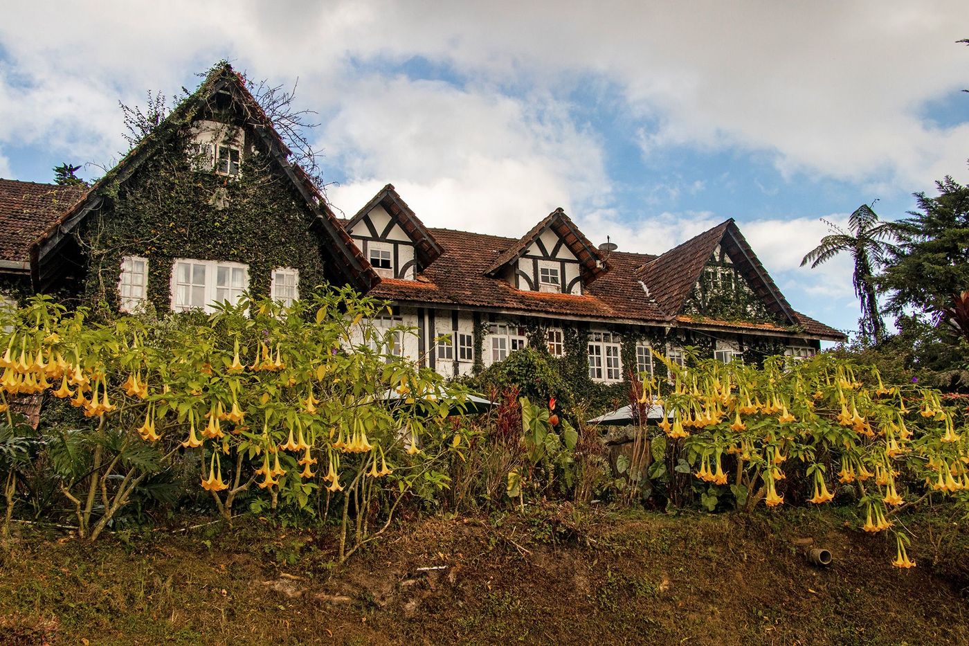 Malaisie Cameron Highlands Bala Chalet and restaurant