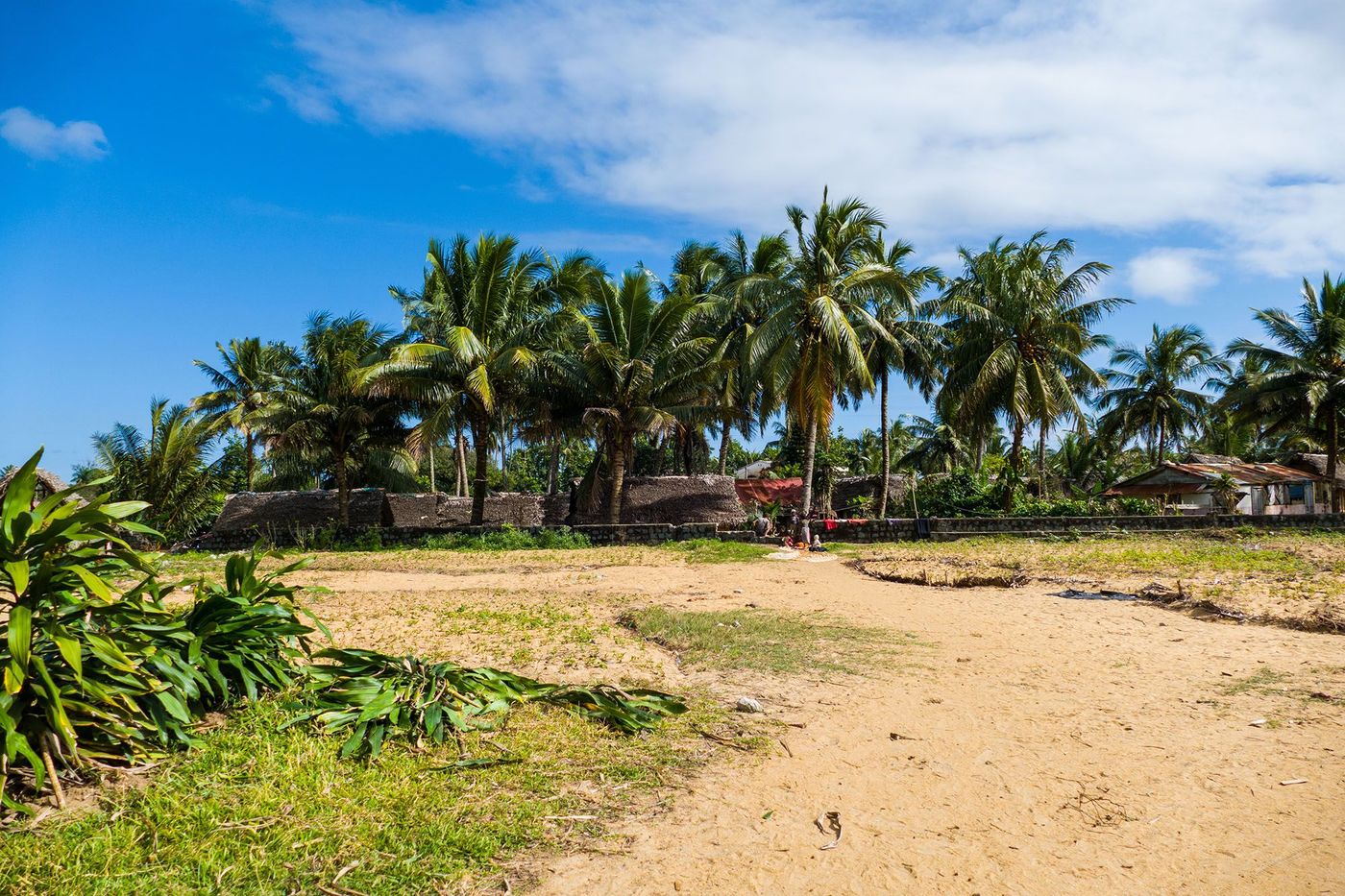 Palmiers près d'une plage et d'un village de pêcheurs à Mananjary - Madagascar