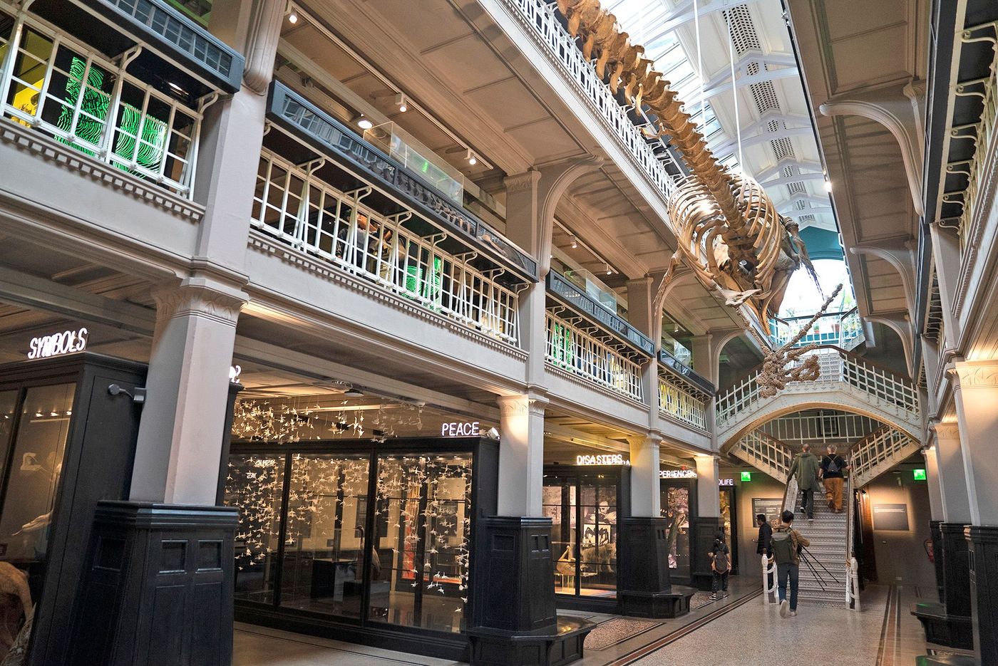 Manchester Museum