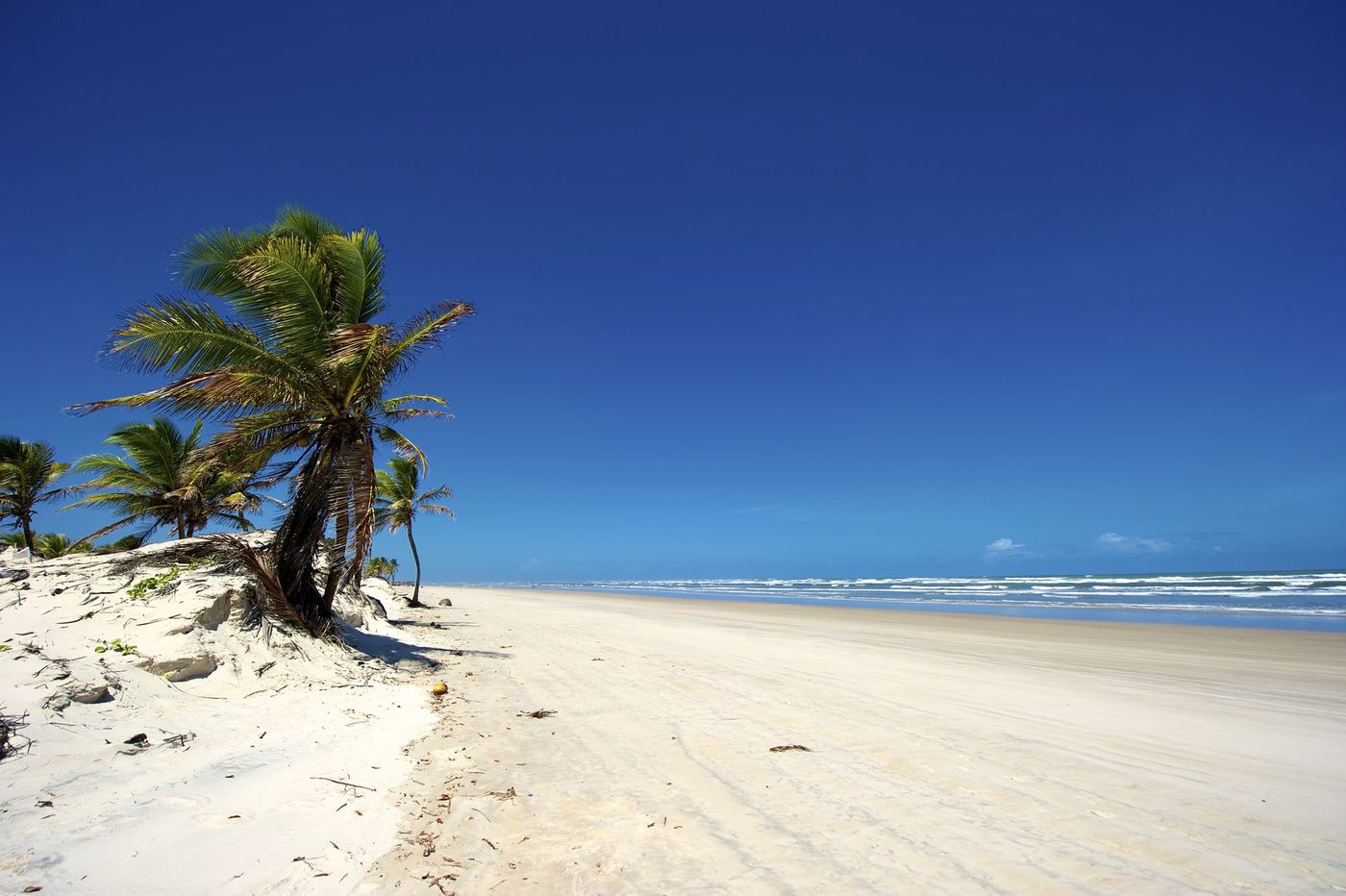 Mangue Seco Bahia Bresil