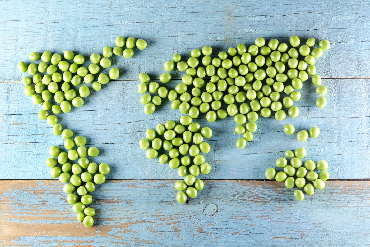 Mappemonde Légumes Wwoofing