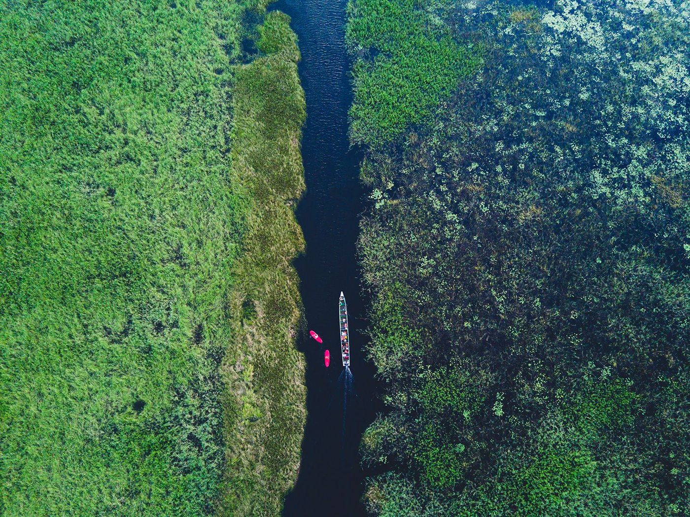 Stand up paddle et pirogue sur le marais de Kaw