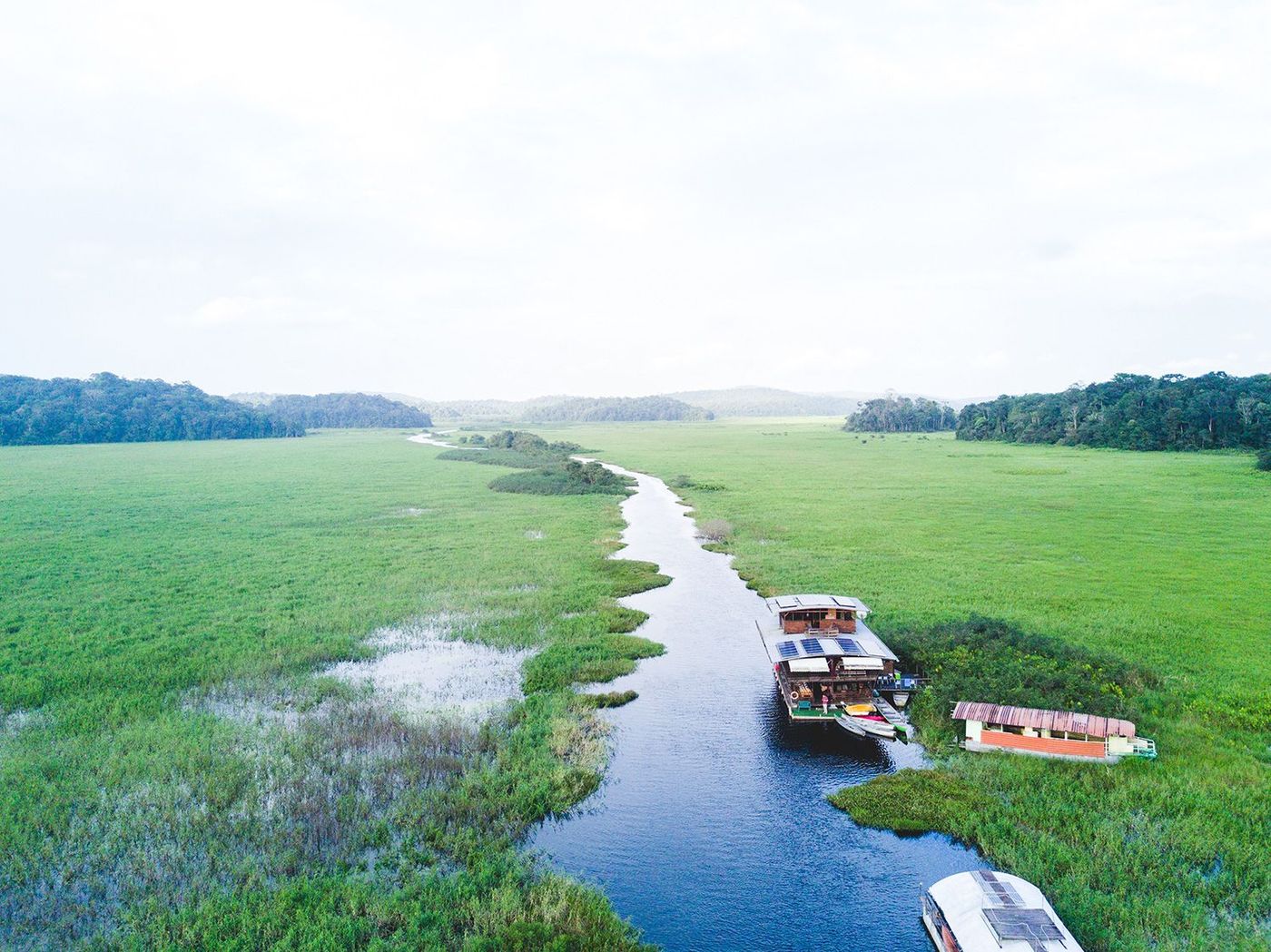 Guyane Marais de Kaw