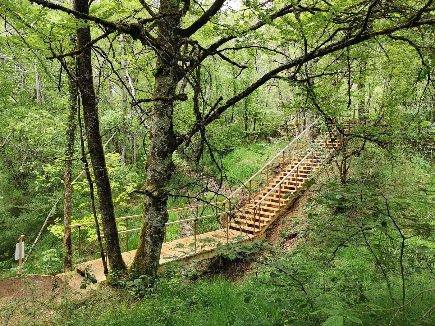 Marais des Brosses