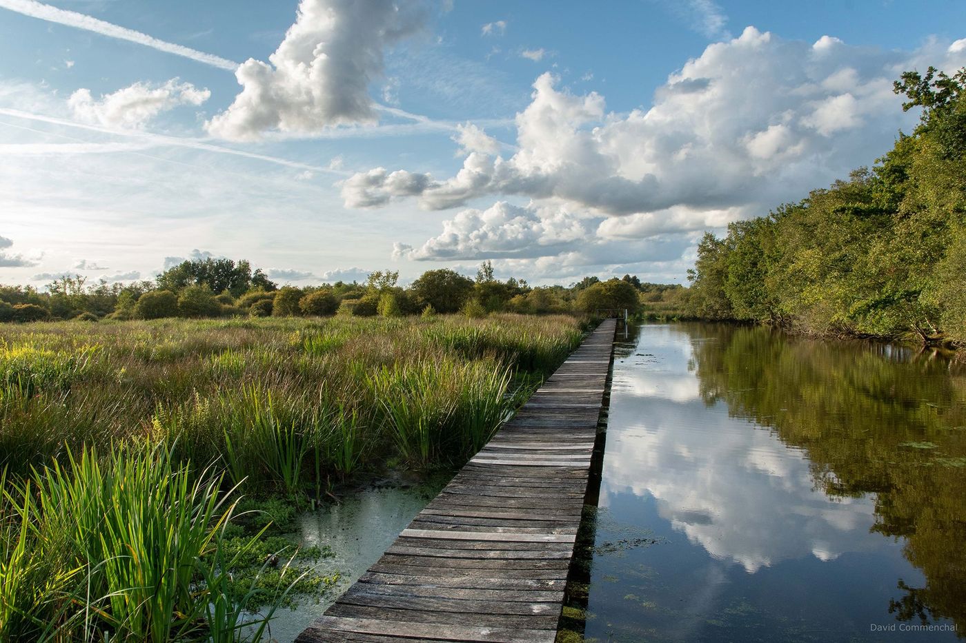 Marais du Grand-Hazé