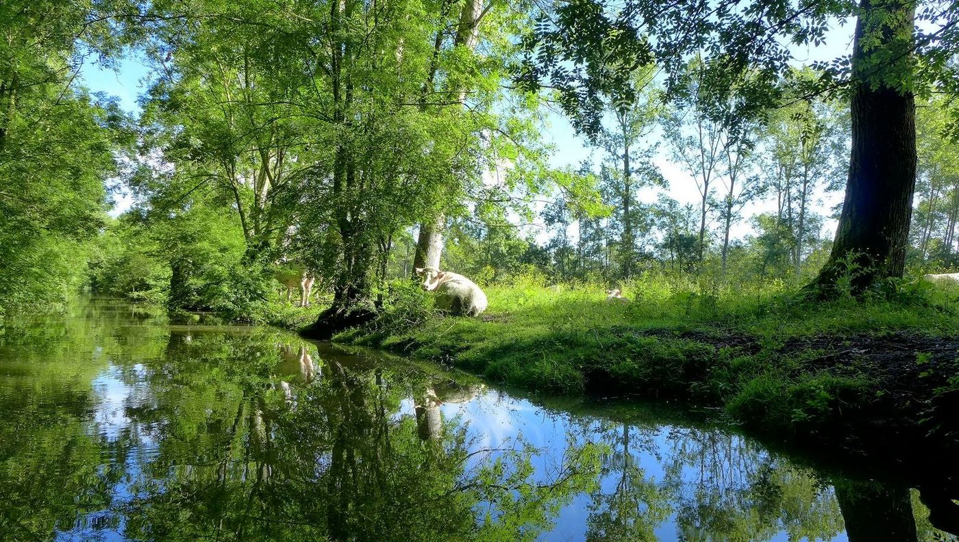 France Marais poitevin