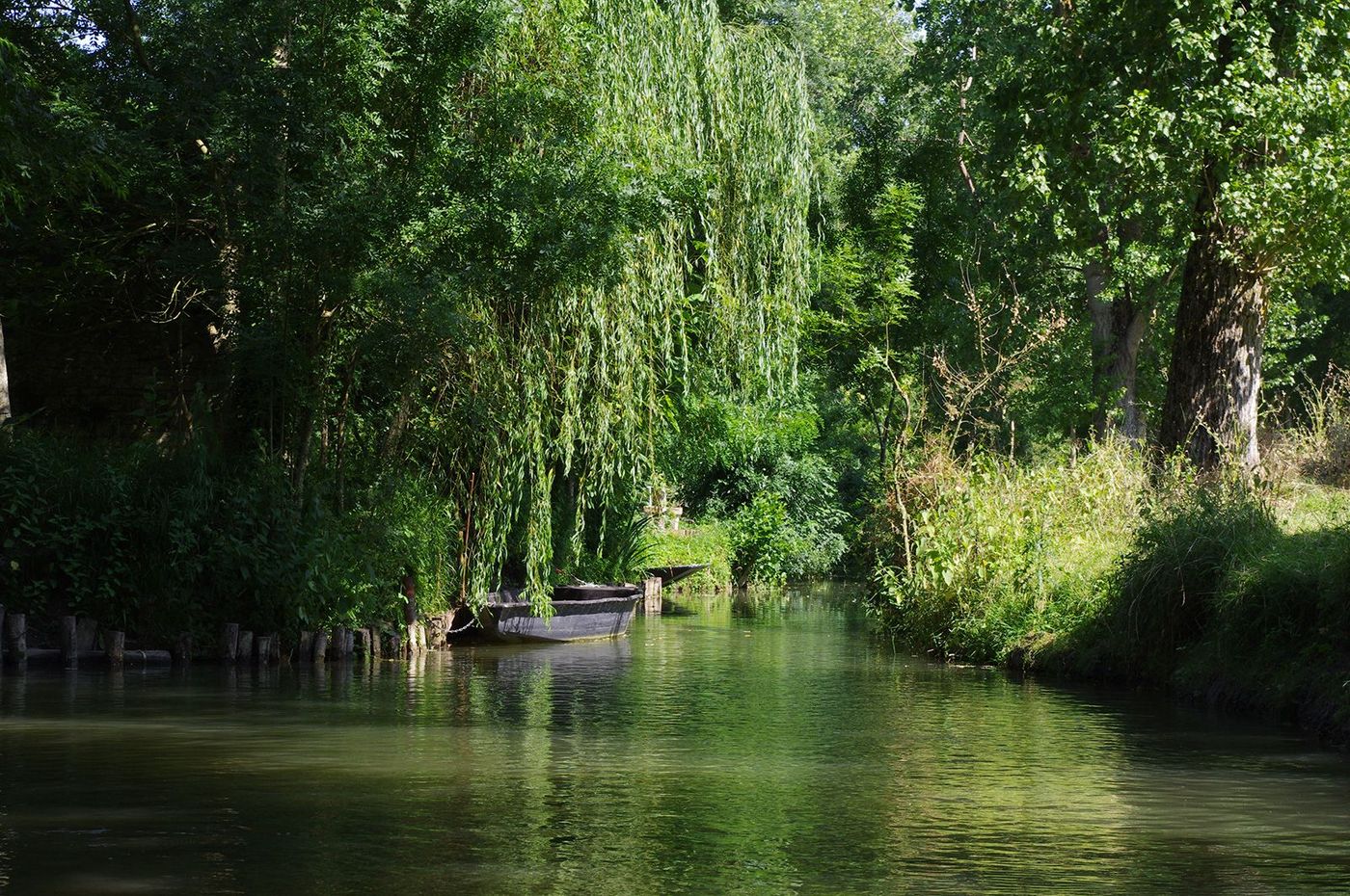 Marais poitevin
