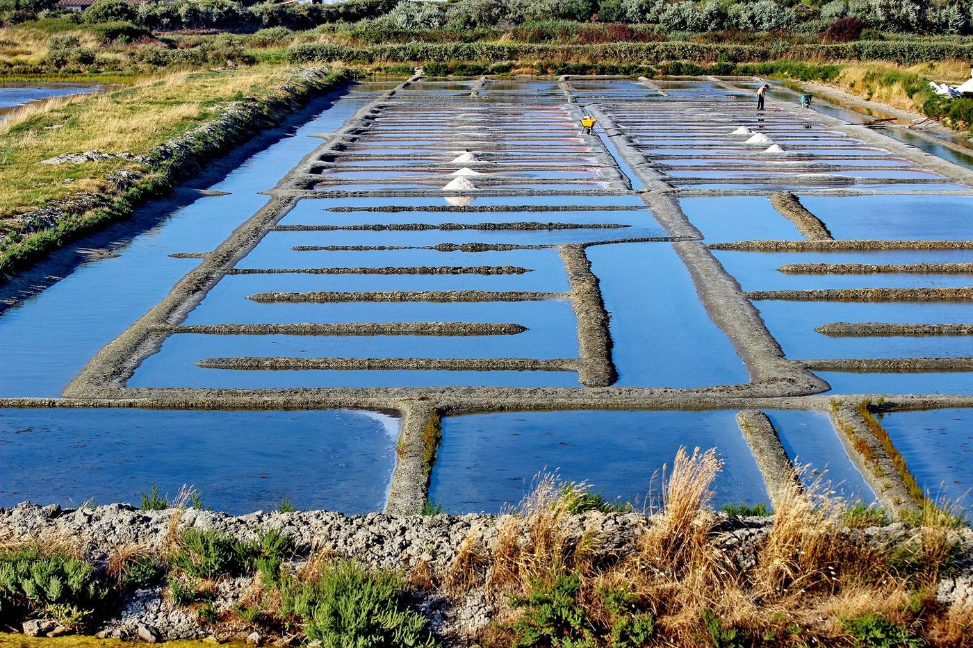 Marais salants de Guérande