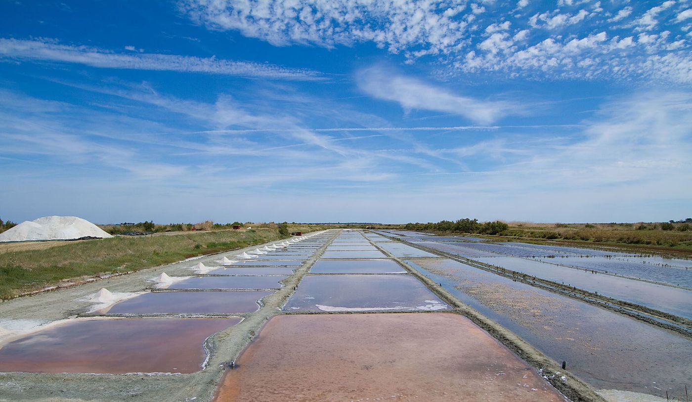 Marais salants Ile Ré