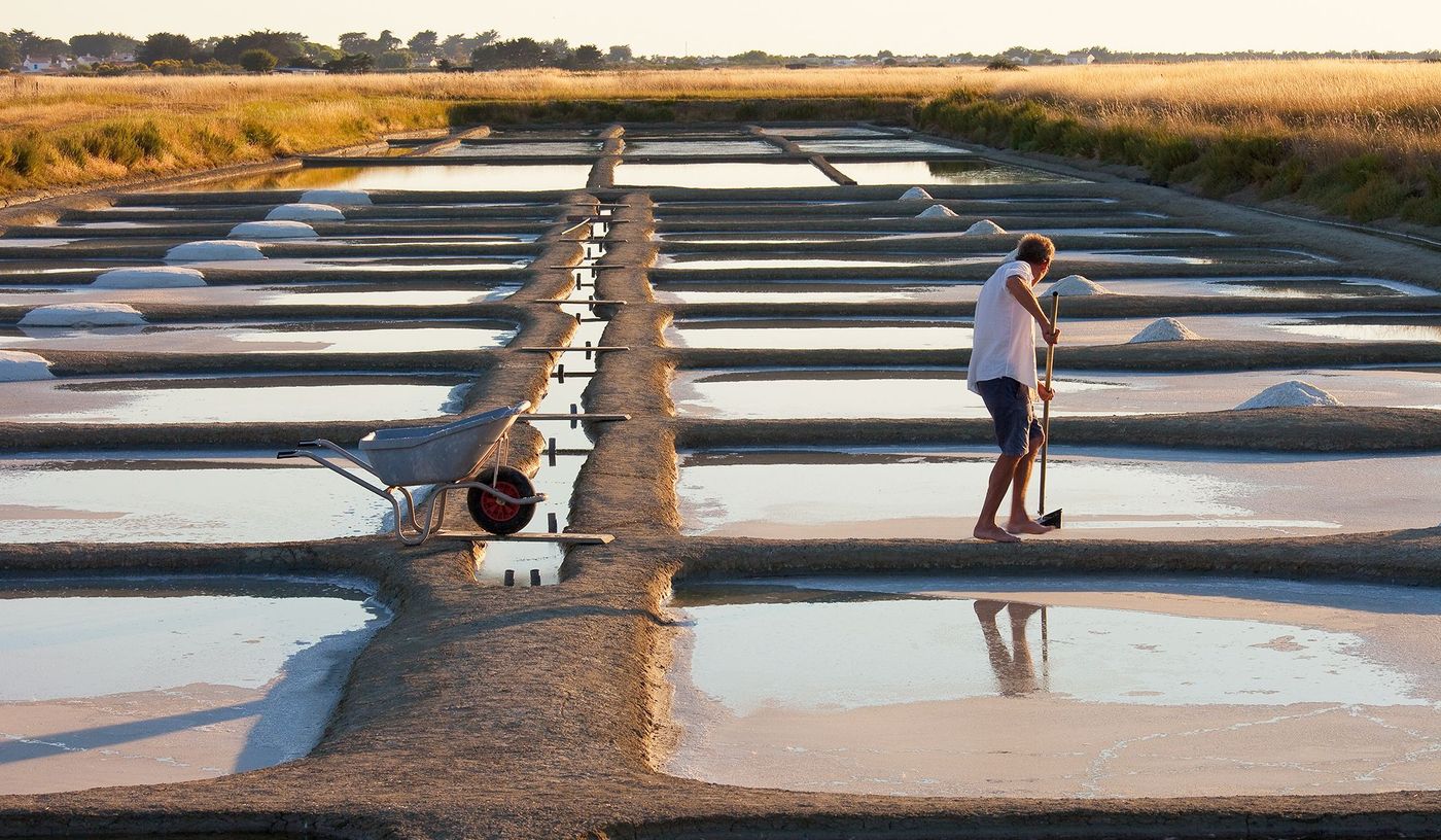 Marais salants - Noirmoutier