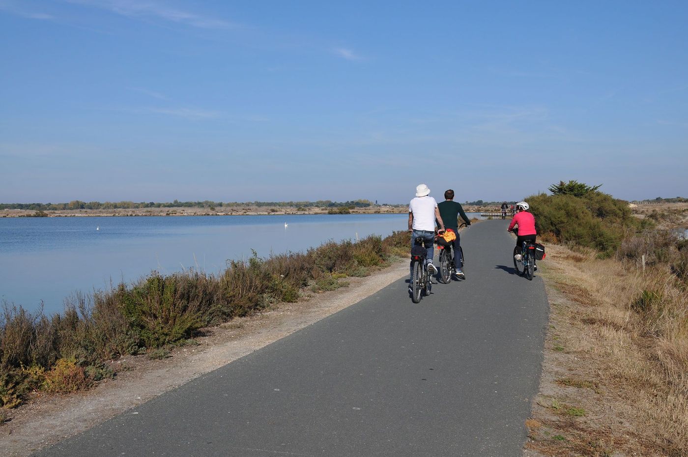Route des marais sur l'Île de Ré