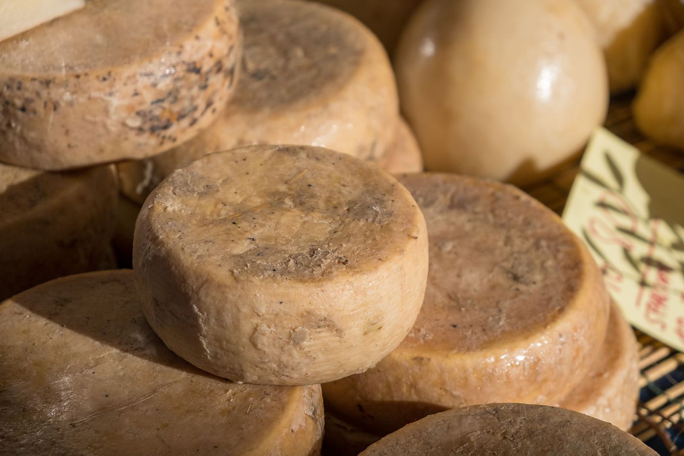 Marché - casu marzu