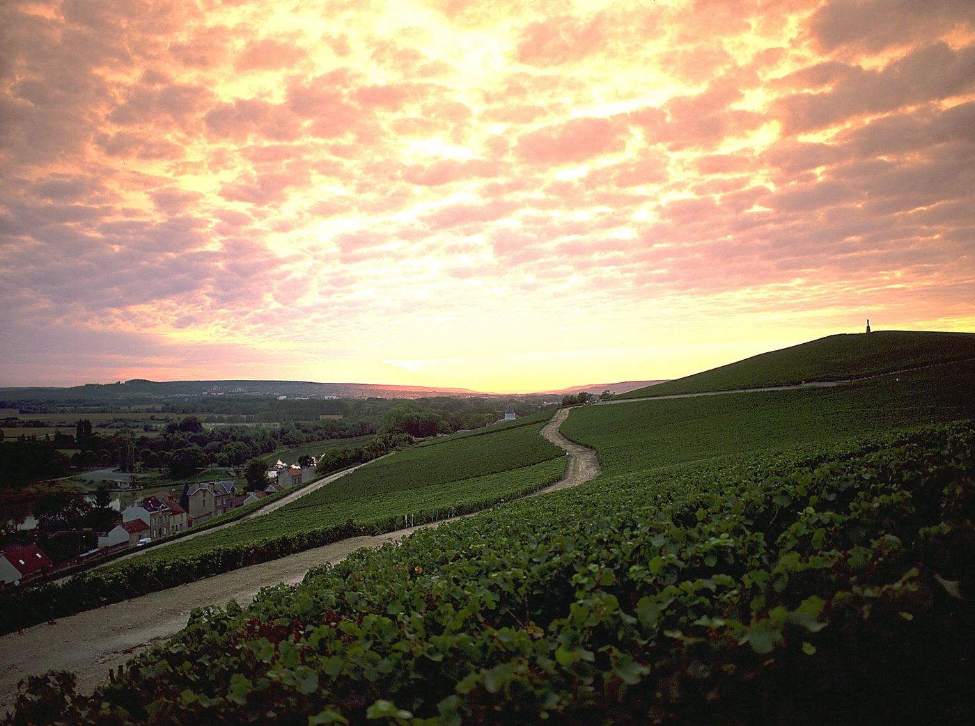 Marne épicurienne
