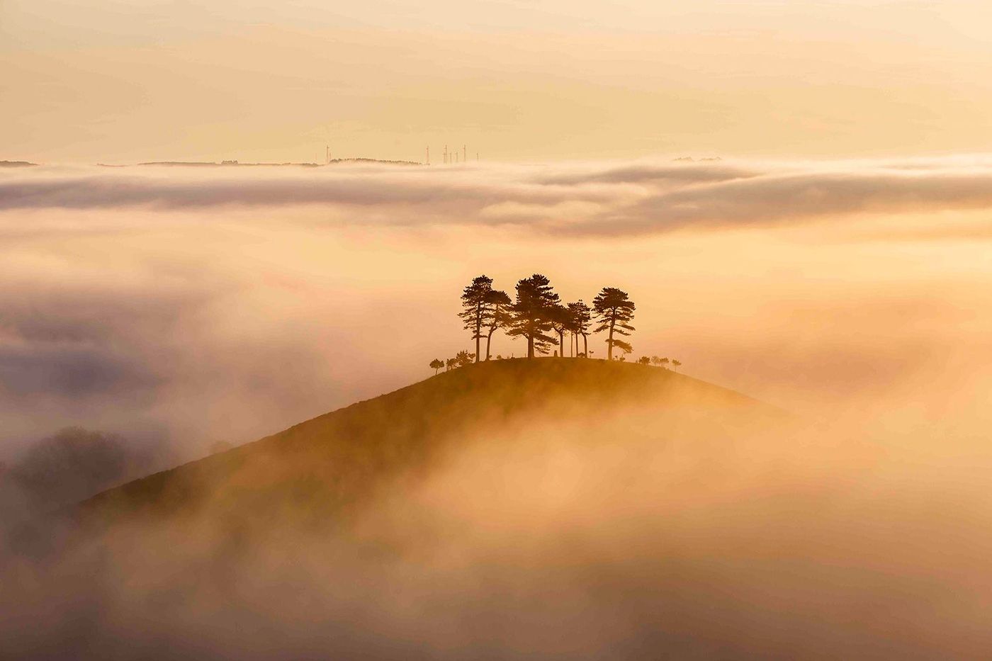 'Misty sunrise, Colmer's Hill', Dorset